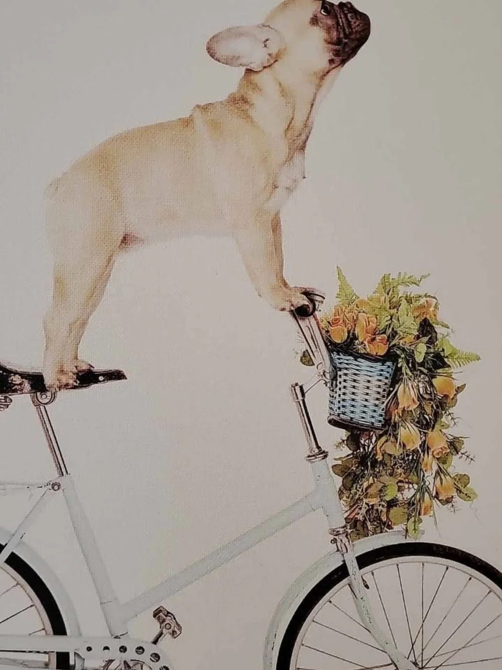 Amy Peterson French Bulldog Art 18x24
